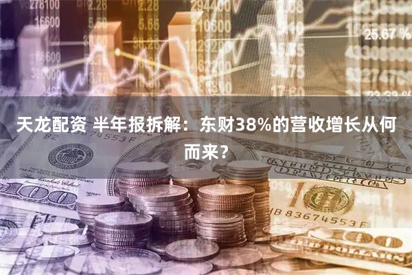 天龙配资 半年报拆解：东财38%的营收增长从何而来？