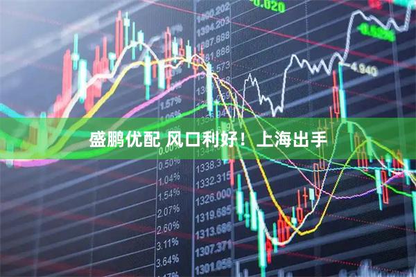 盛鹏优配 风口利好！上海出手
