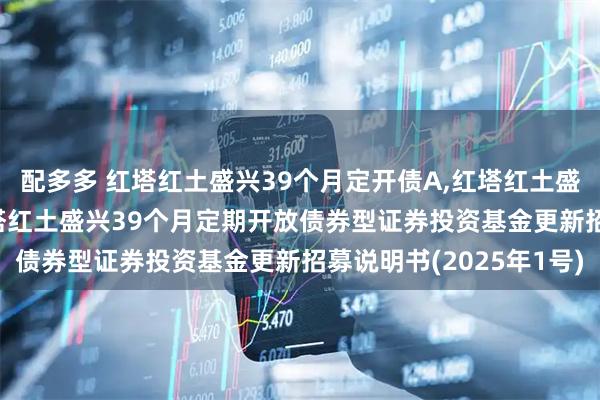 配多多 红塔红土盛兴39个月定开债A,红塔红土盛兴39个月定开债C 红塔红土盛兴39个月定期开放债券型证券投资基金更新招募说明书(2025年1号)